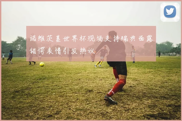 诺维茨基世界杯现场支持瑞典面露错愕表情引发热议