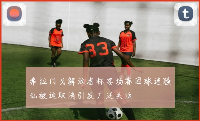 弗拉门戈解放者杯客场赛因球迷骚乱被迫取消引发广泛关注